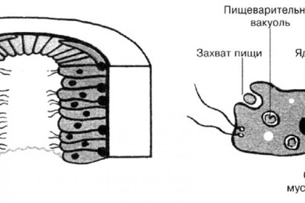 Закладки наркота