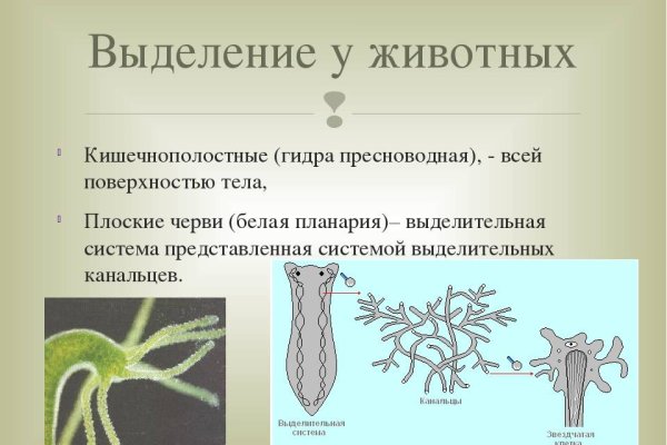 Кракен ссылка зеркало рабочее на сегодня тор