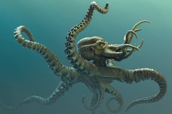 Kraken даркнет официальный сайт